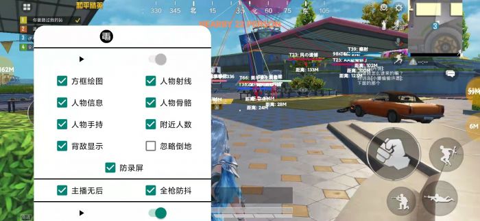 PUBG辅助瞄准怎么开才有用（PUBG辅助瞄准怎么开了用不了）